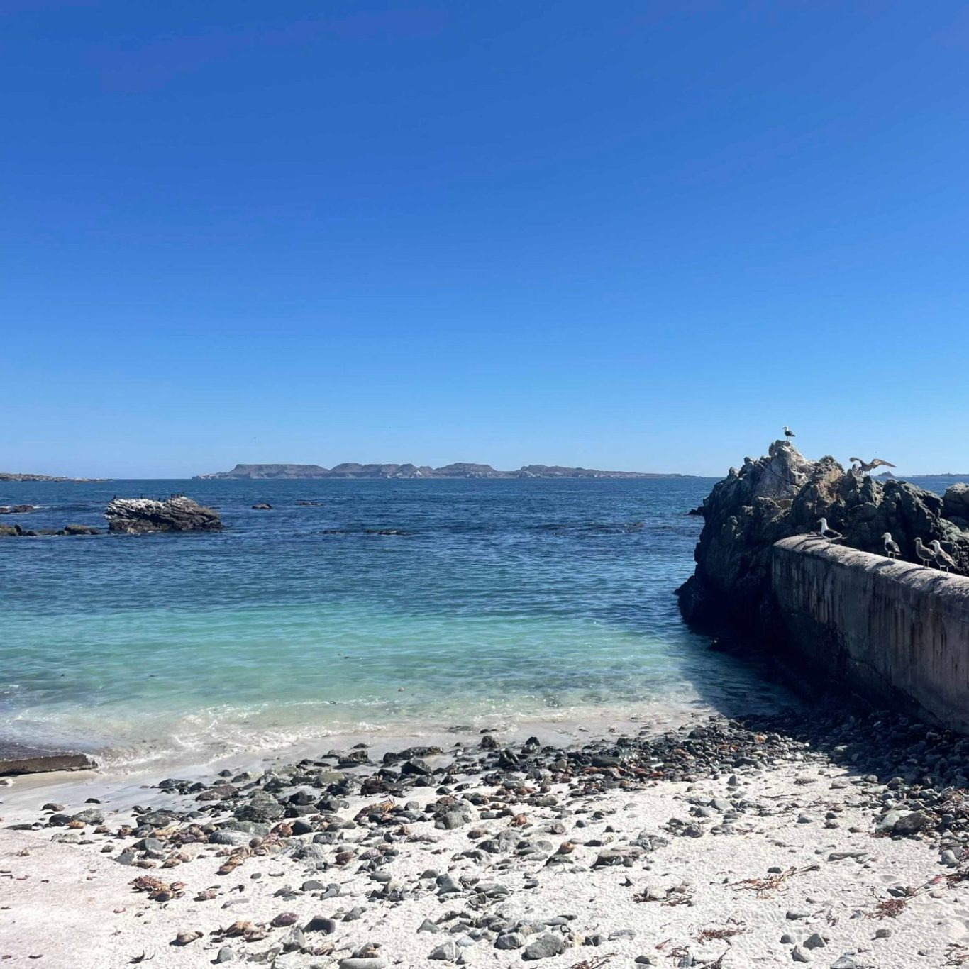 Am Hafen von Punto Los Choros mit Blick auf die Isla Choros